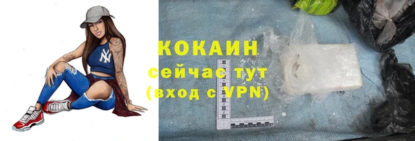 индика Абдулино