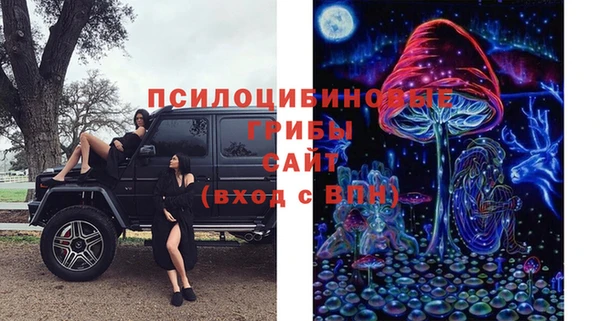 индика Абдулино