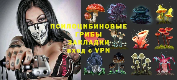 кокс Алексеевка