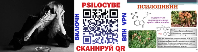 что такое   Лесозаводск  OMG как зайти  Галлюциногенные грибы GOLDEN TEACHER 